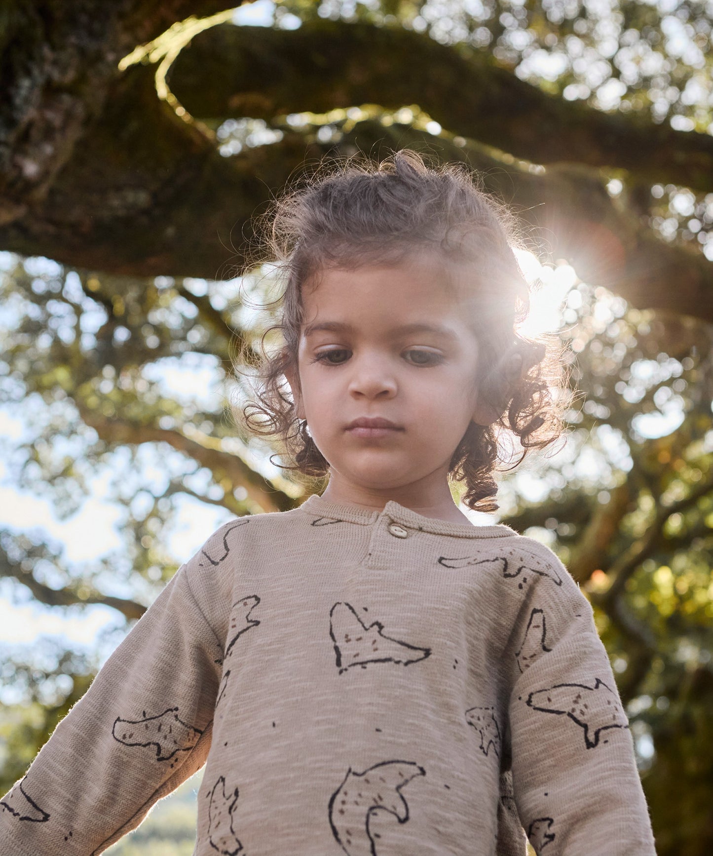 Rib Longsleeve Birds Ancestral Play Up