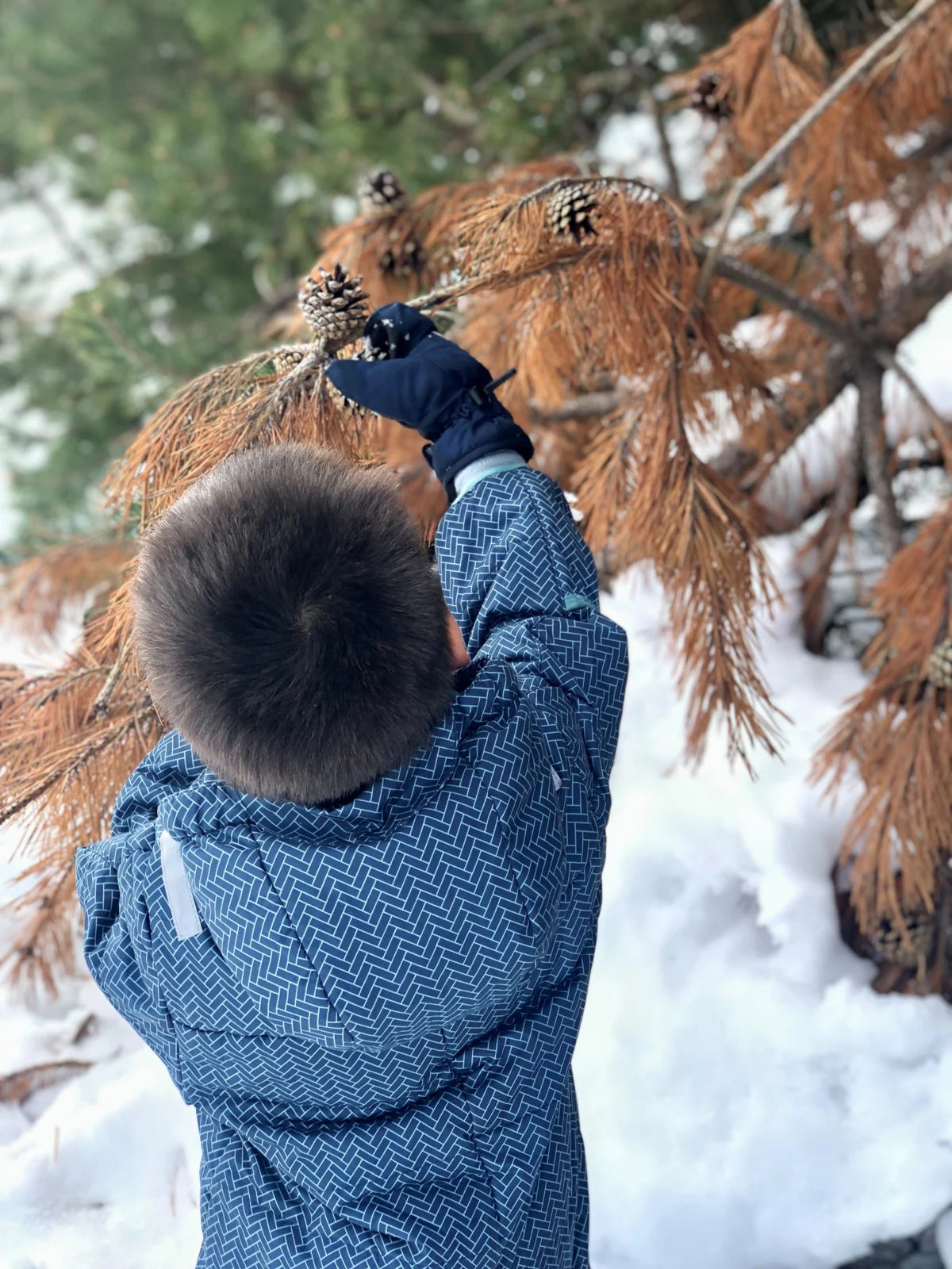 Snowsuit Ranger Ducksday
