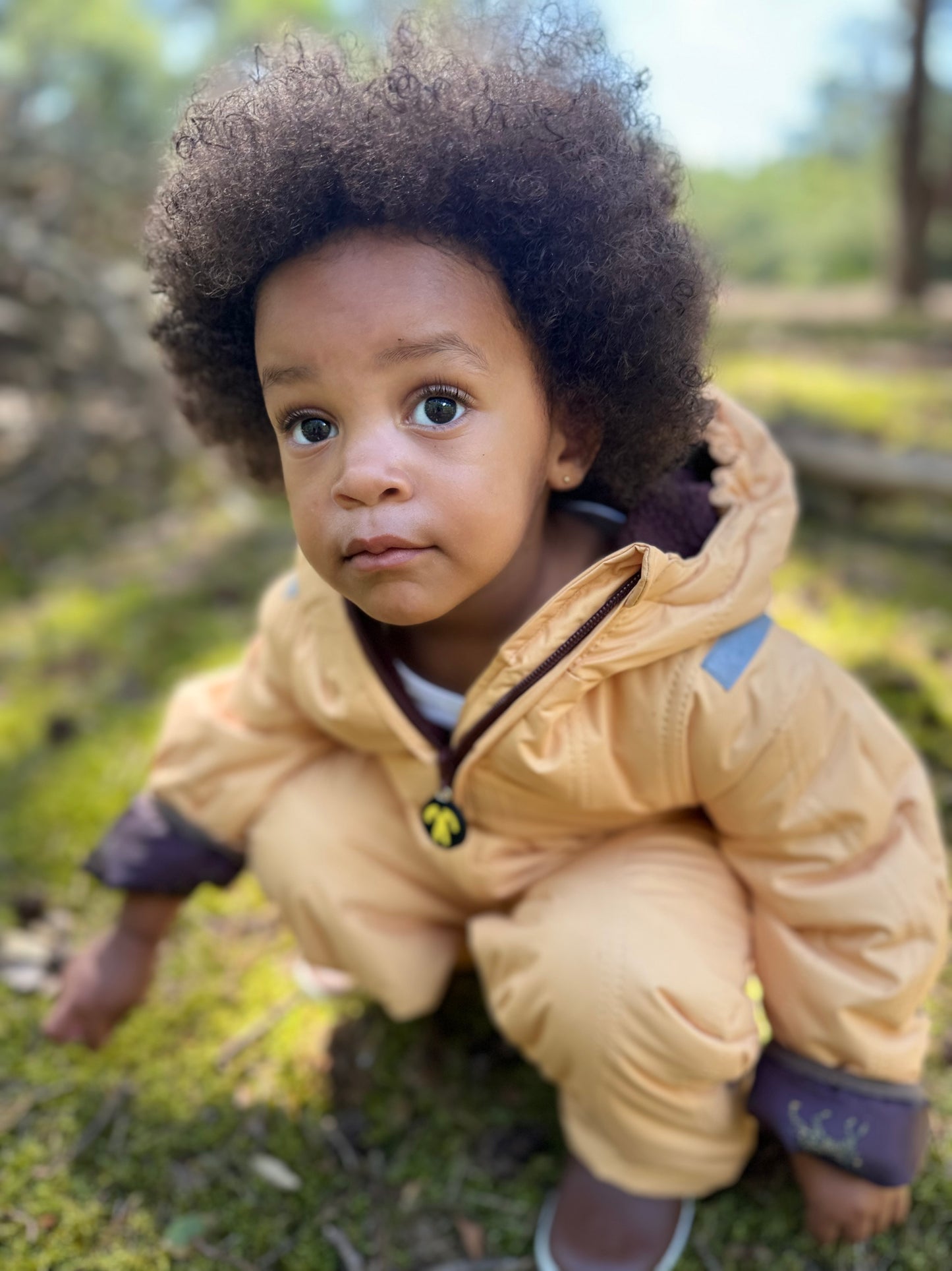 Snowsuit Dusk Ducksday