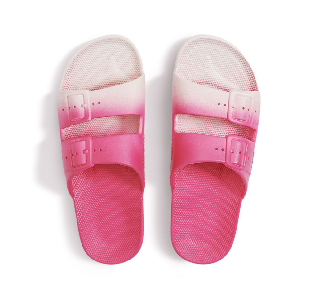 Fuchsia Slipper (Fancy) Freedom Moses