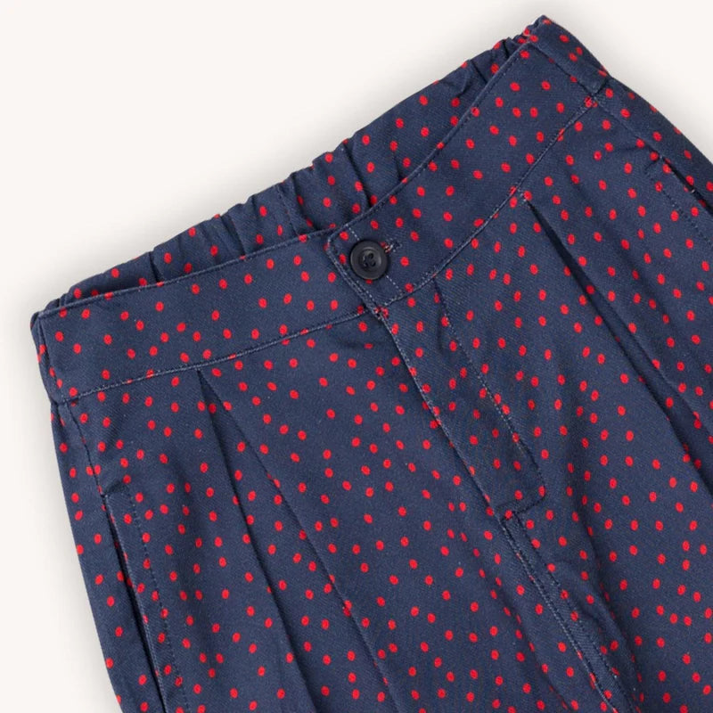 Chino Mini Dots on Blue CarlijnQ