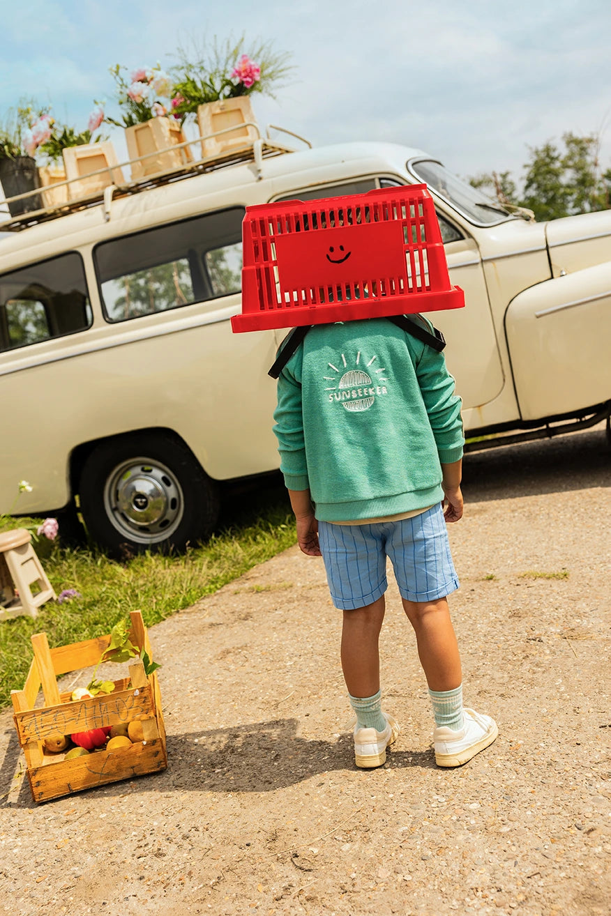 Woven Chino Shorts Thin Stripes Breezy Blue Sproet & Sprout
