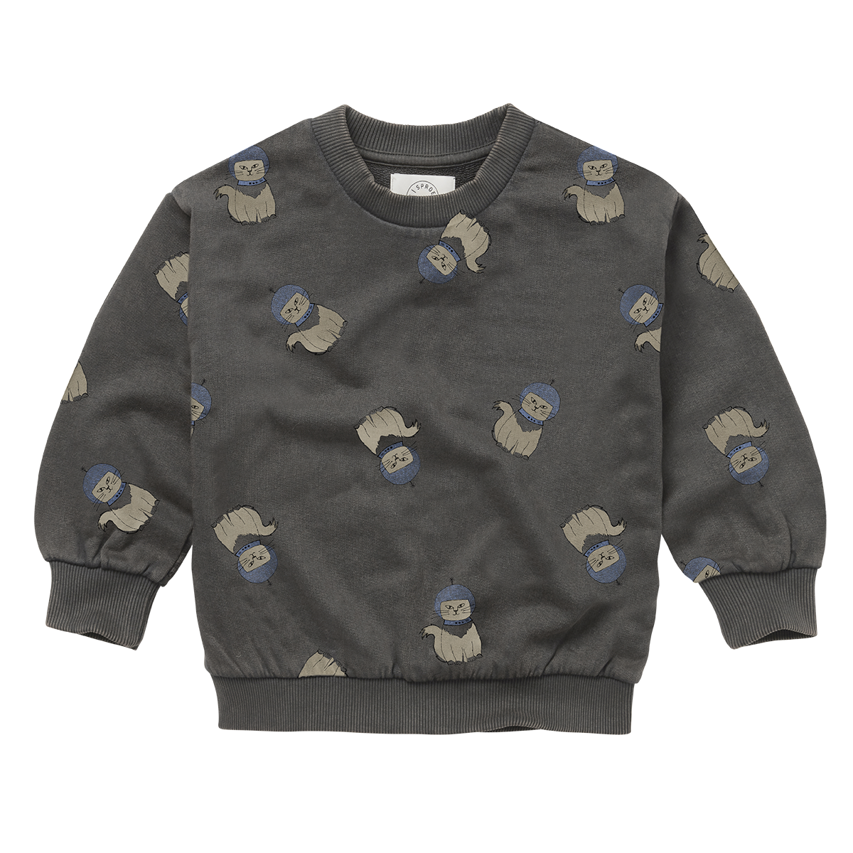 Sweatshirt Space Cat print Washed Black Sproet & Sprout
