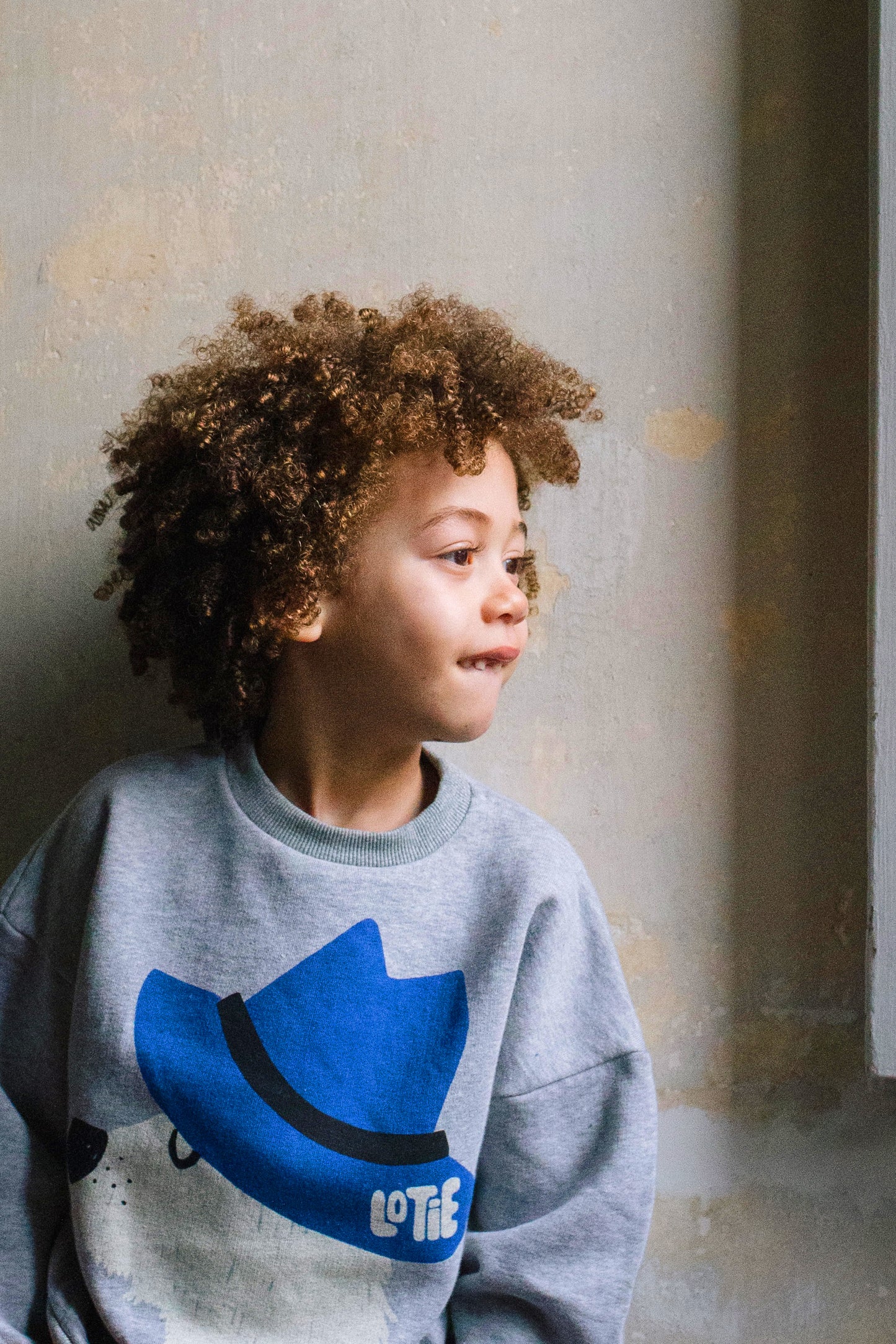 Sweatshirt Chill Dog Grey Melange Lötiekids