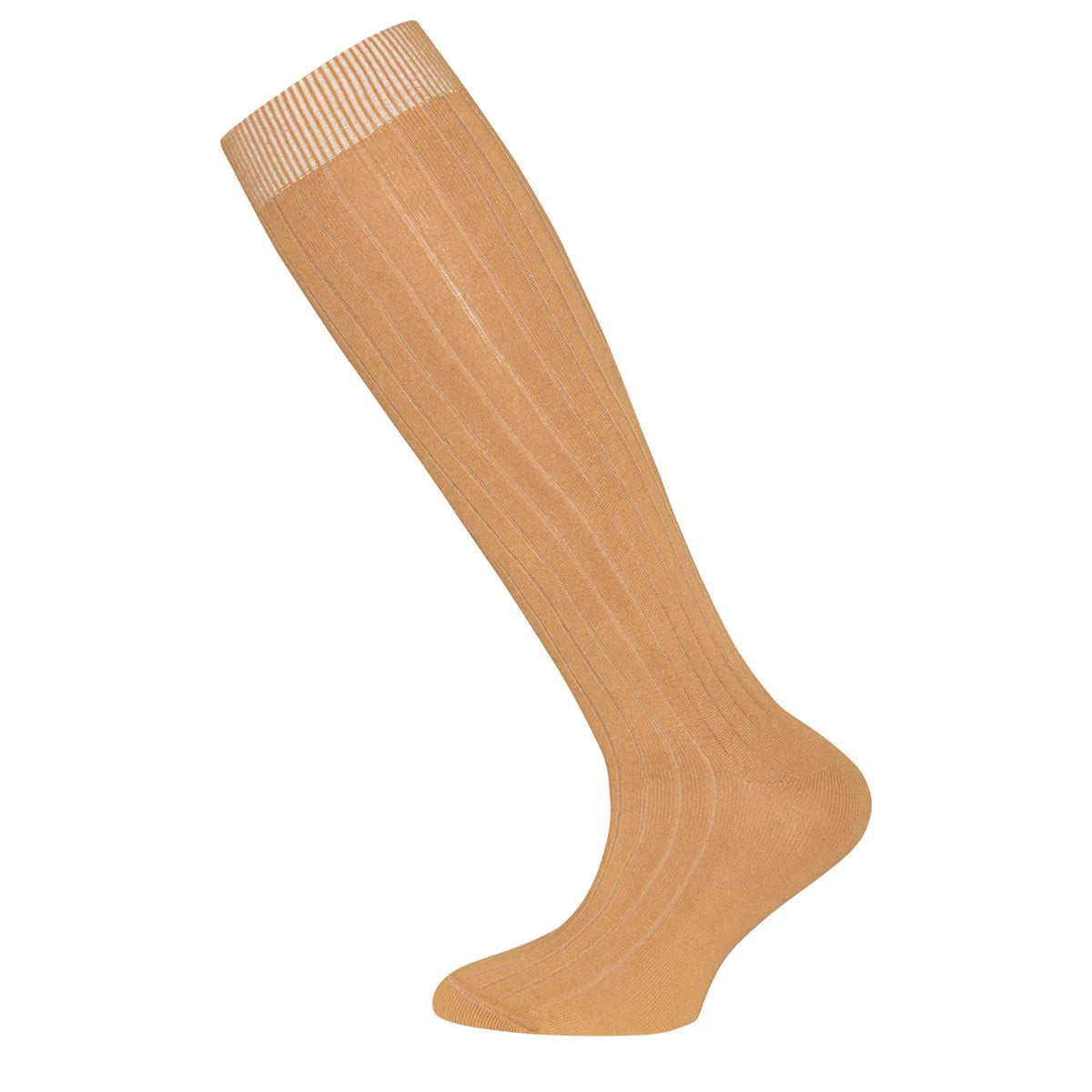 Kniekousen Camel Ewers