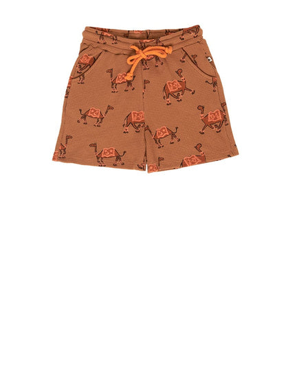 Apollo Shorts Camel Ammehoela