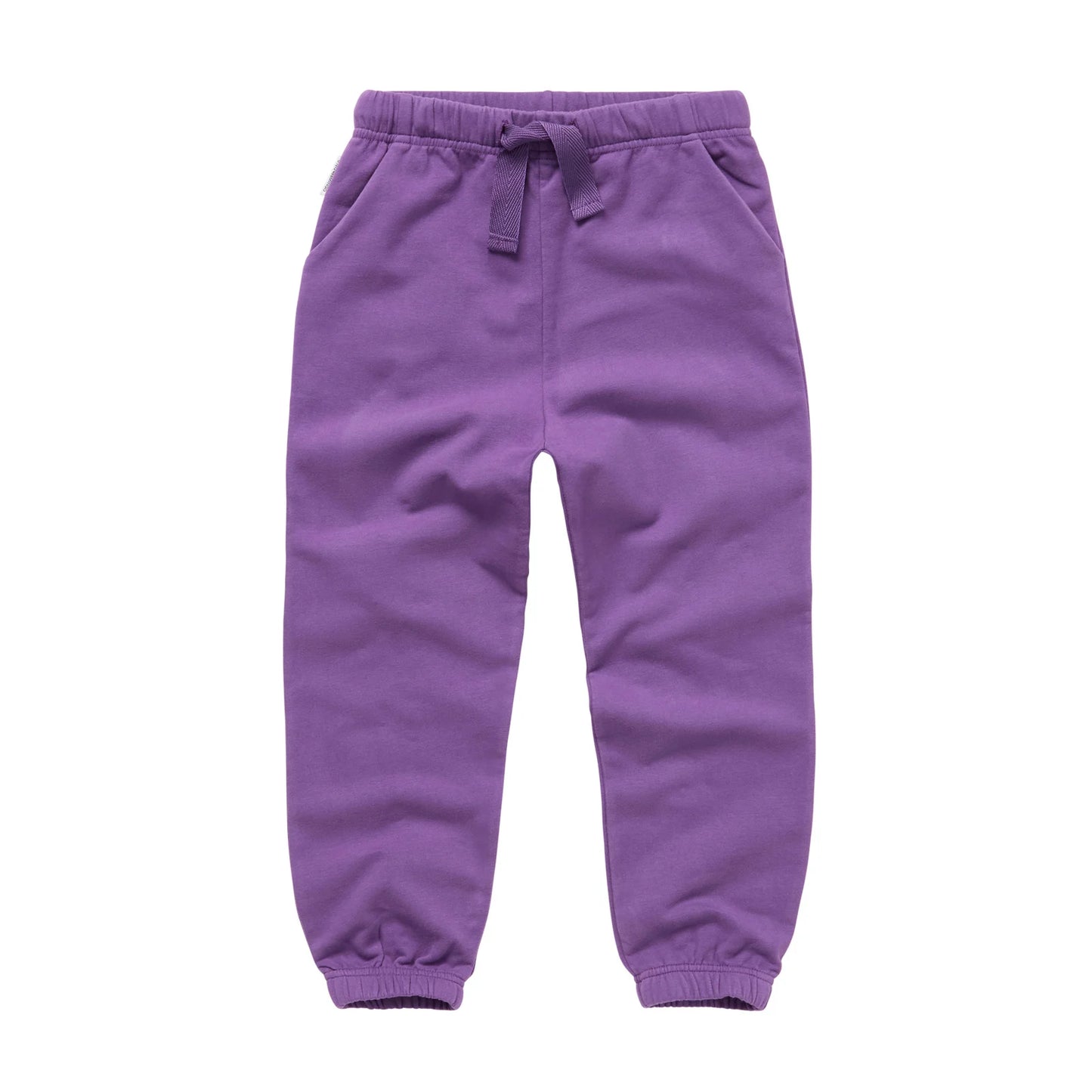 Sweatpants Purple Sapphire Mingo
