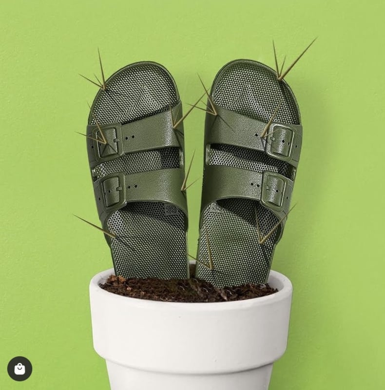 Cactus Slipper (Basic) Freedom Moses