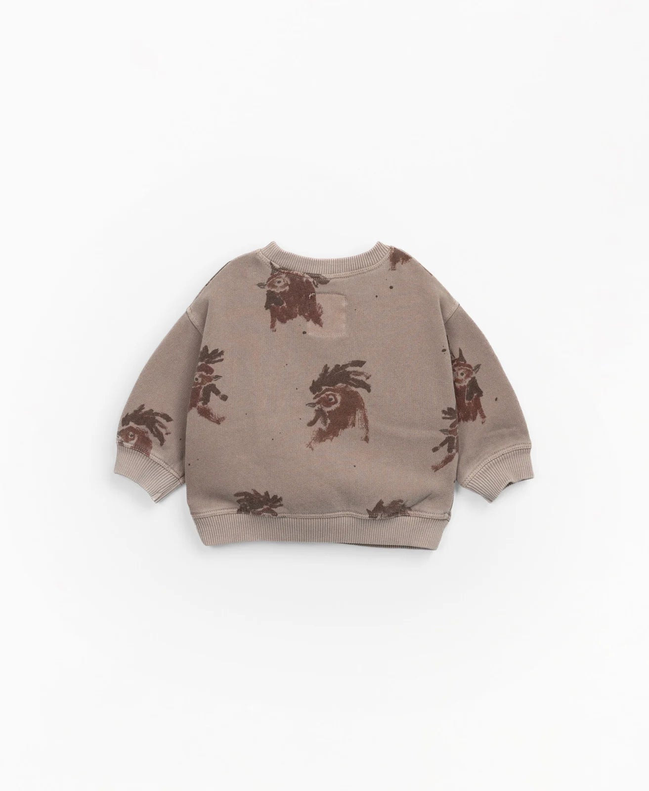 Organic Cotton Sweater Roosters Cesar Play Up