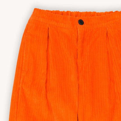 Pleated Chino Basics CarlijnQ