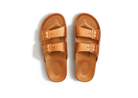Copper Slipper (Fancy) Freedom Moses