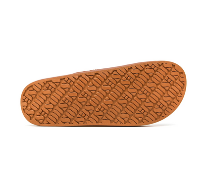 Copper Slipper (Fancy) Freedom Moses