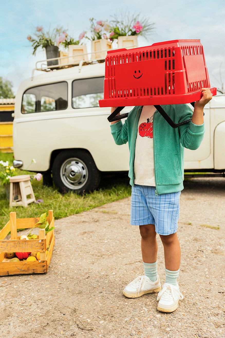 Woven Chino Shorts Thin Stripes Breezy Blue Sproet & Sprout
