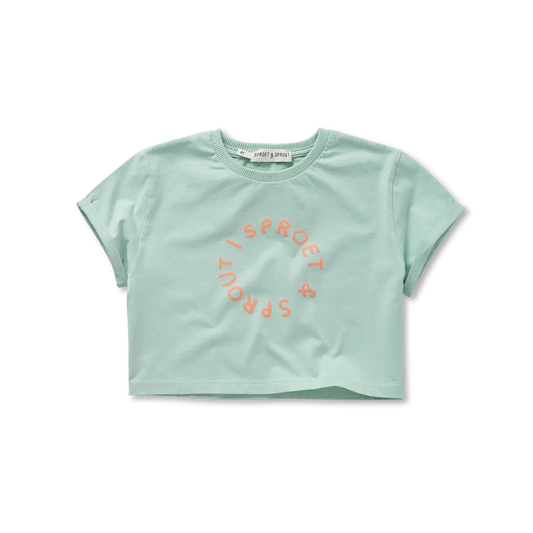 Boxy T-Shirt Silt Green Sproet & Sprout