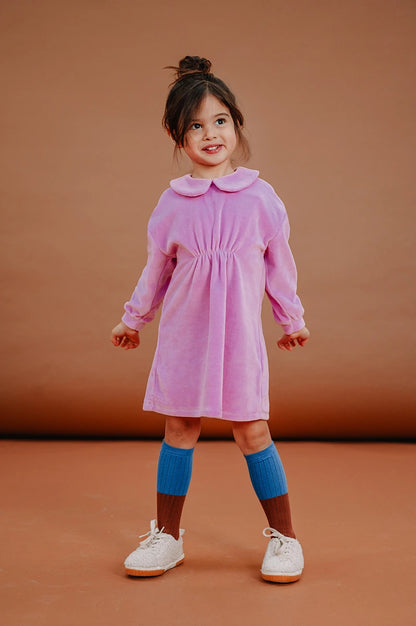 Velvet Dress Purple Pink Sproet&Sprout