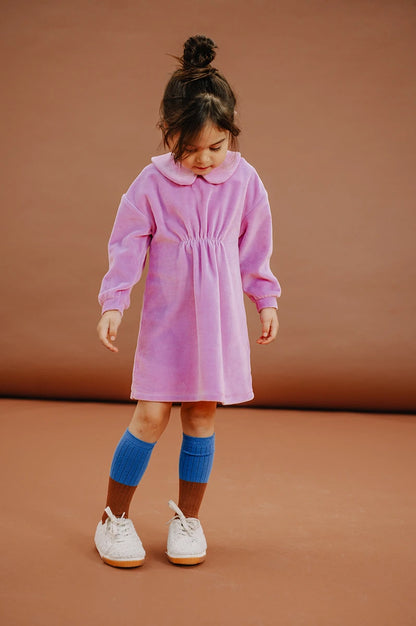 Velvet Dress Purple Pink Sproet&Sprout
