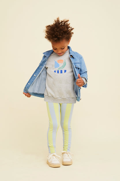 Raglan Sweatshirt Fruit Grey Melee Sproet & Sprout