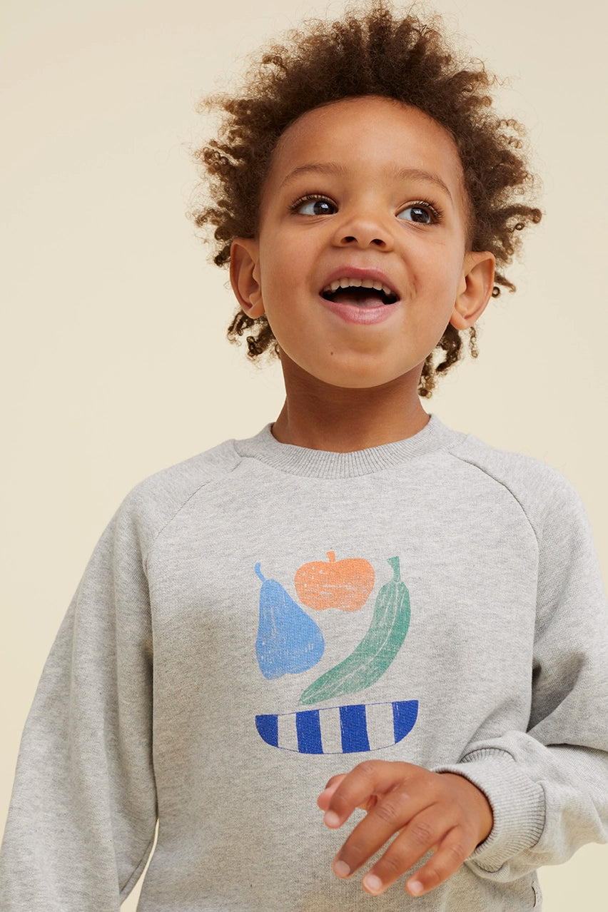 Raglan Sweatshirt Fruit Grey Melee Sproet & Sprout