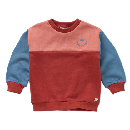 Sweatshirt Colourblock Palette Sproet & Sprout