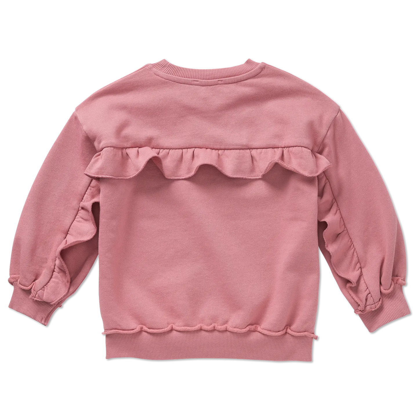 Sweatshirt Ruffles Back Painters Blush Sproet & Sprout