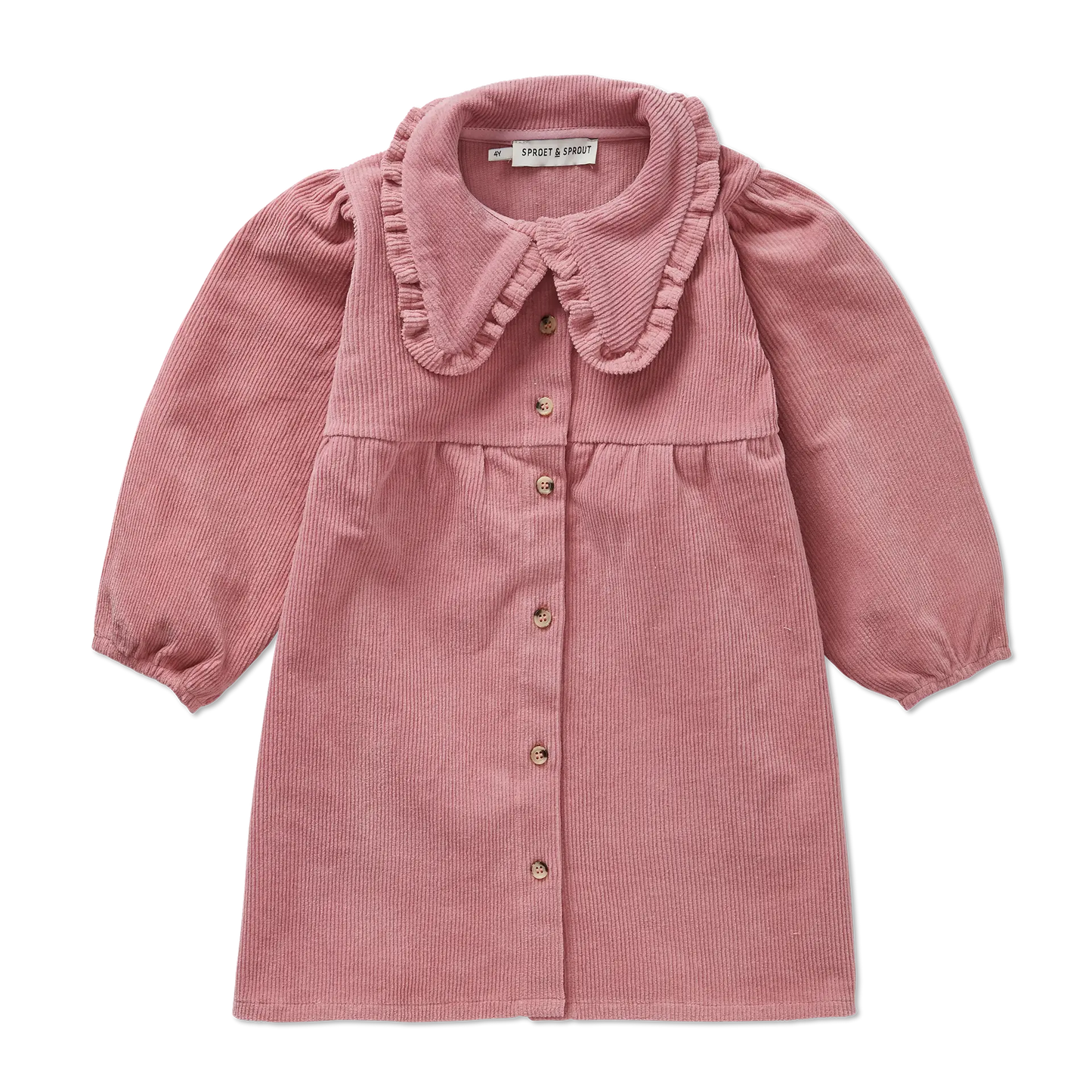 Corduroy Dress Collar Painters Blush Sproet & Sprout