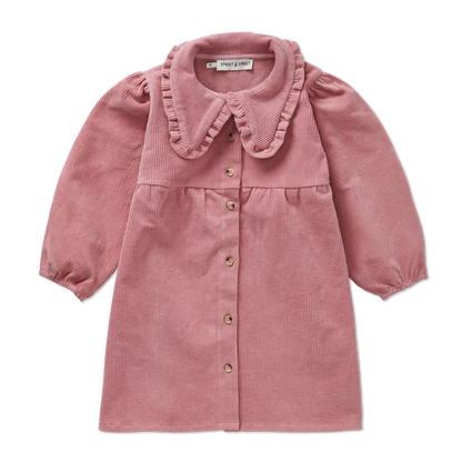 Corduroy Dress Collar Painters Blush Sproet & Sprout