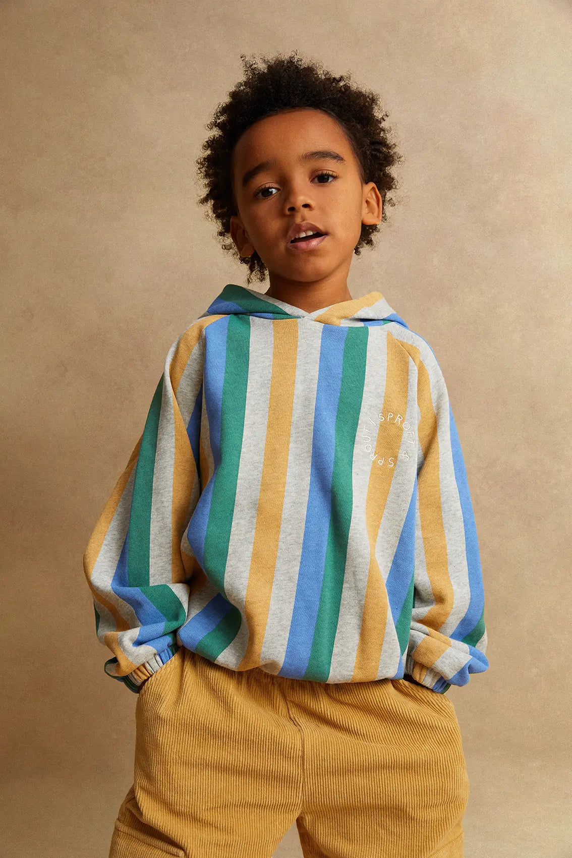 Sweatshirt Hoody Stripes Grey Melee Sproet & Sprout