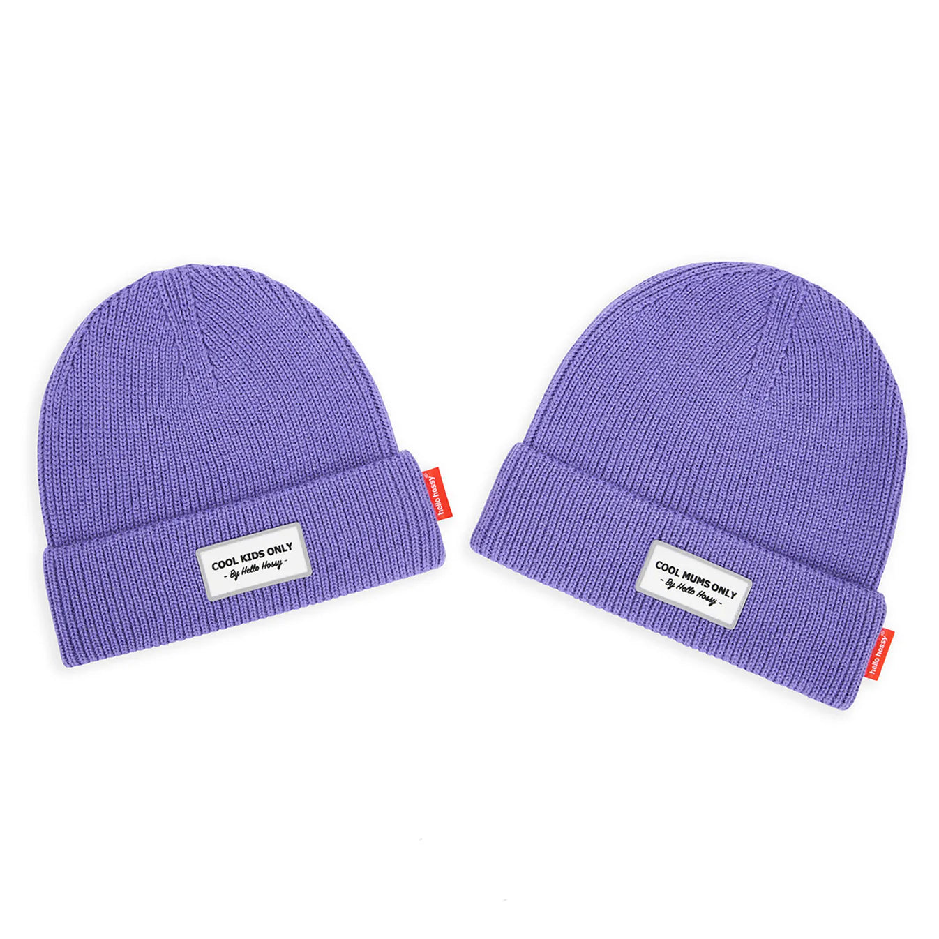 Beanie Pop Purple Hello Hossy