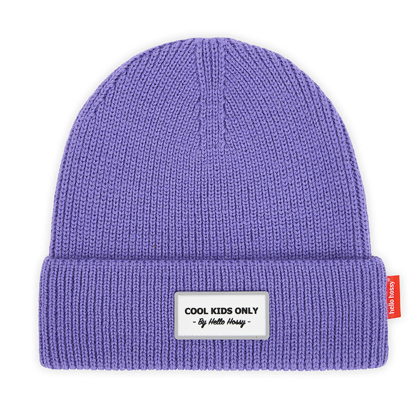 Beanie Pop Purple Hello Hossy