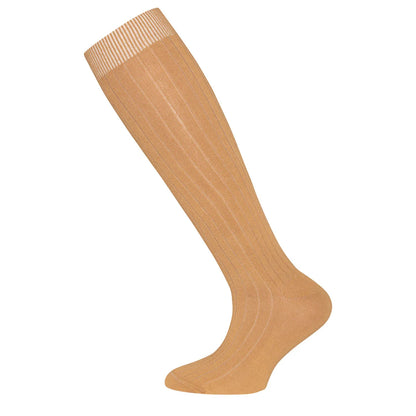 Kniekousen  Camel Ewers