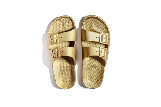 Goldie Slipper (fancy) Freedom Moses